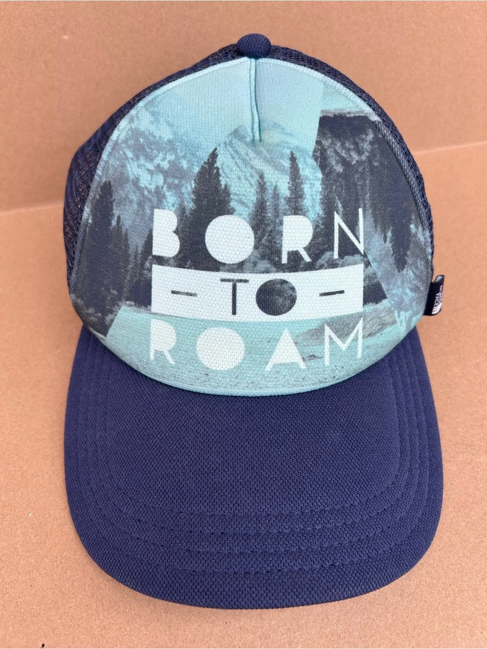 The North Face Born to Roam Trucker Hat Mesh SnapBack Blue Graphic Outdoors